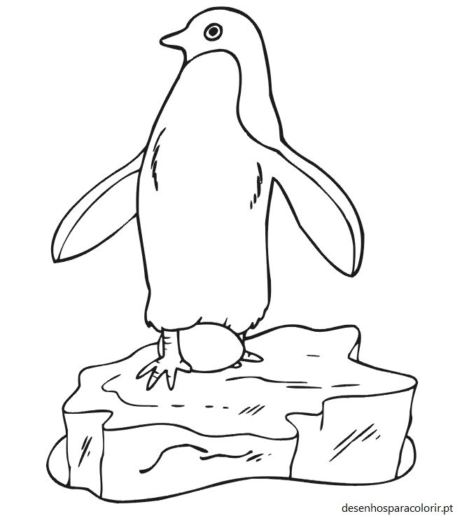 Desenhos de pinguins – pinguim para imprimir grátis 07